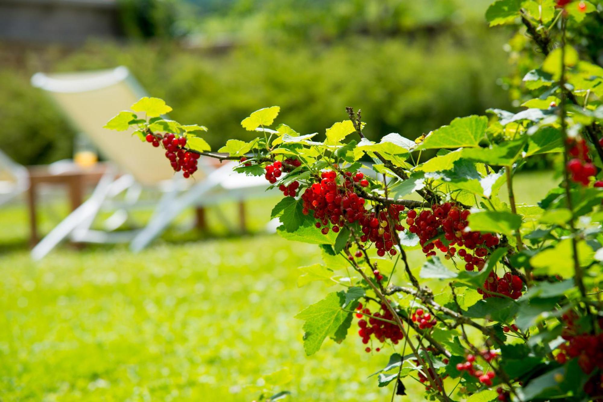 Le Logis D'Aze Bed & Breakfast Eksteriør bilde